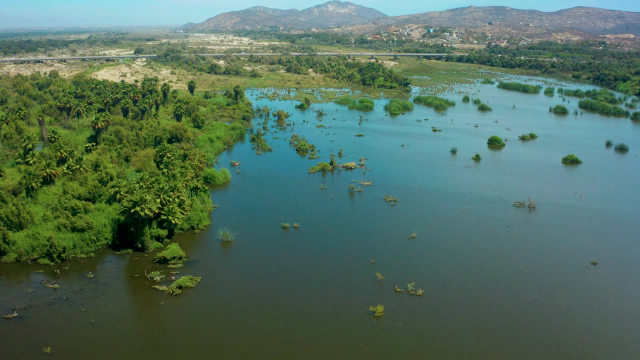 Aerial view over San Jose Del Cabo floodwater with the left riverbank lower in frame, green shrubs and tree tops partly surrounded by water, distant hills, and no visible people.