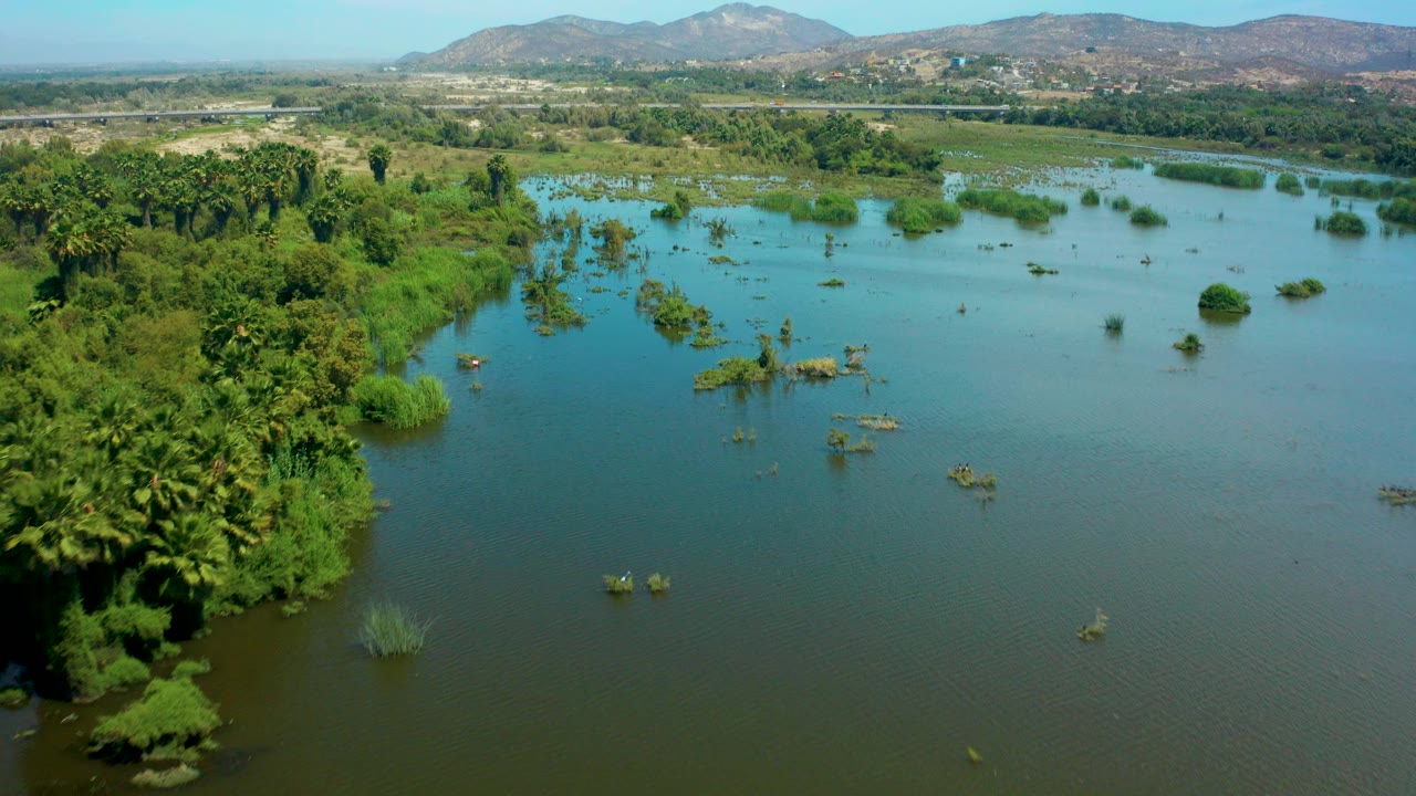 Aerial view over flooded vegetation in San Jose Del Cabo, Baja California Sur, with green shoreline at left, scattered submerged shrubs, distant hills, and no visible people.