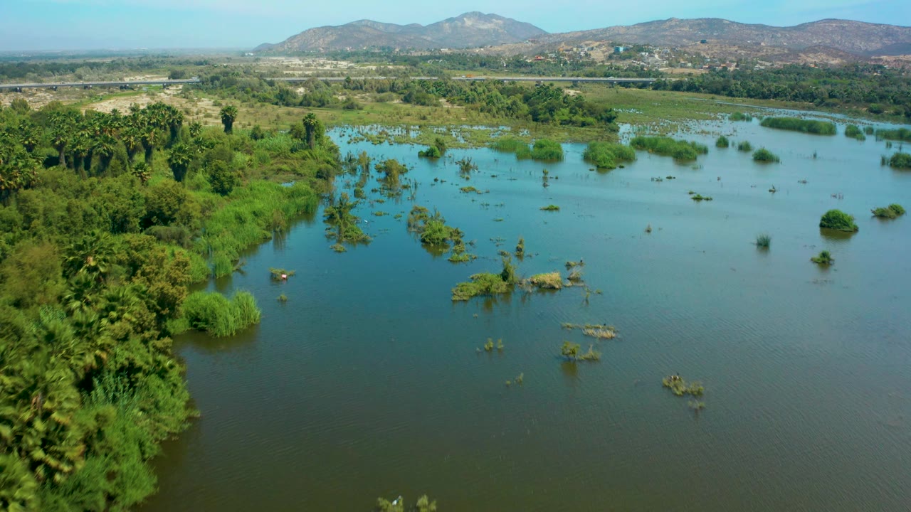 Aerial still from San Jose Del Cabo with flooded wetland vegetation in the foreground, submerged brush across the water, a green corridor beyond, distant hills, and no visible people.