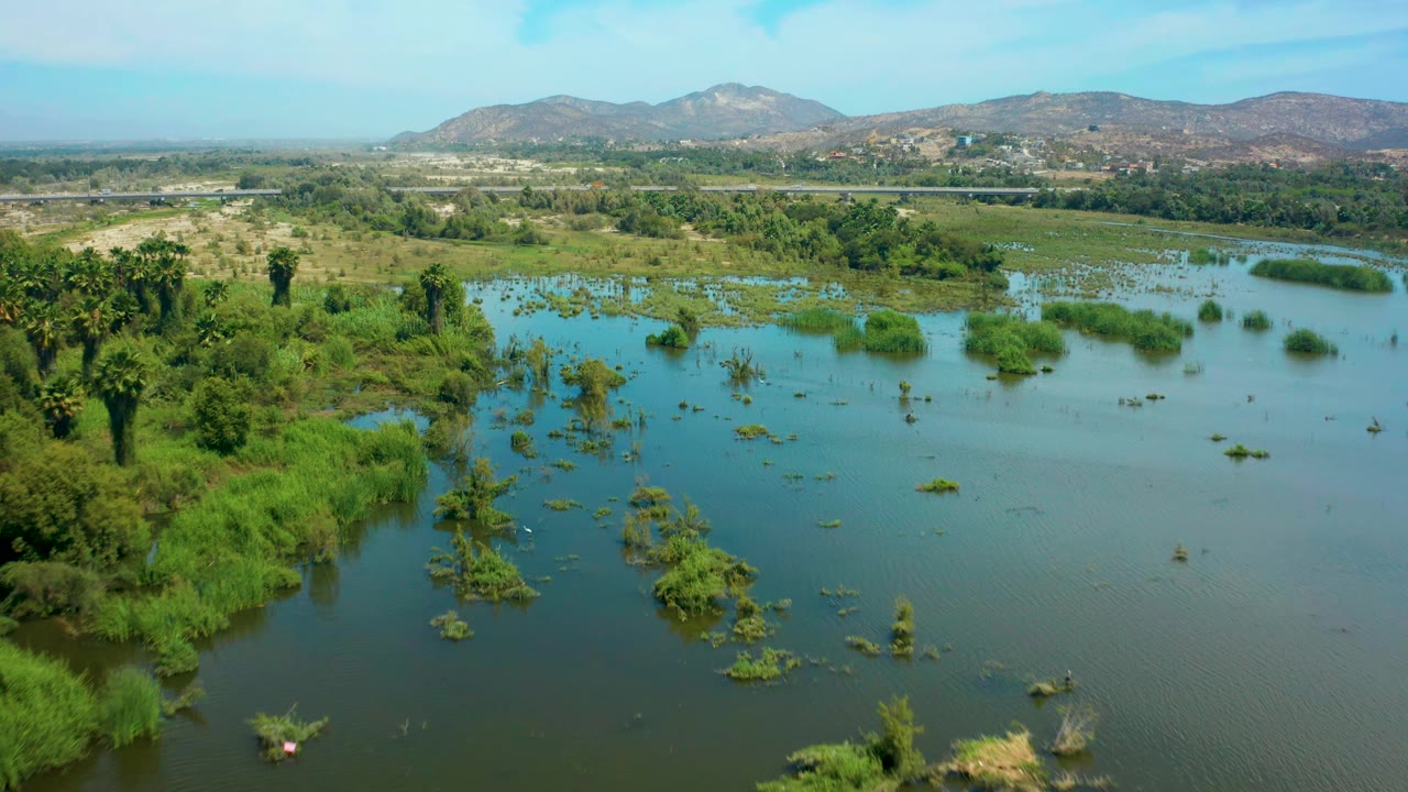 A high view of San Jose Del Cabo floodwater shows submerged brush in the foreground, a dense green wetland band through the middle, brown hills in back, and no visible people.