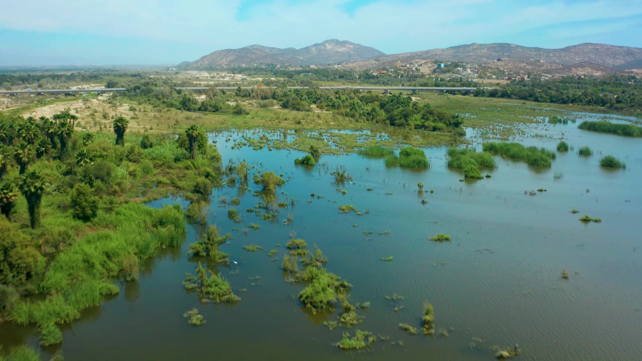 Calm water fills the foreground in San Jose Del Cabo, with reeds and partially submerged shrubs across the wetland, a low tree line, distant mountains, and no visible people.