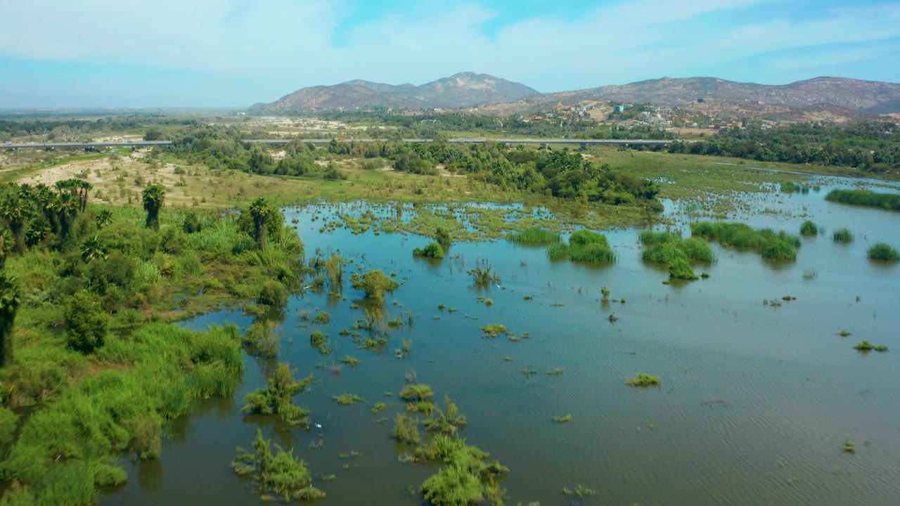 A wide aerial frame over San Jose Del Cabo shows floodwater bordered by thicker green vegetation on the left, scattered submerged plants in the center, hazy hills beyond, and no visible people.