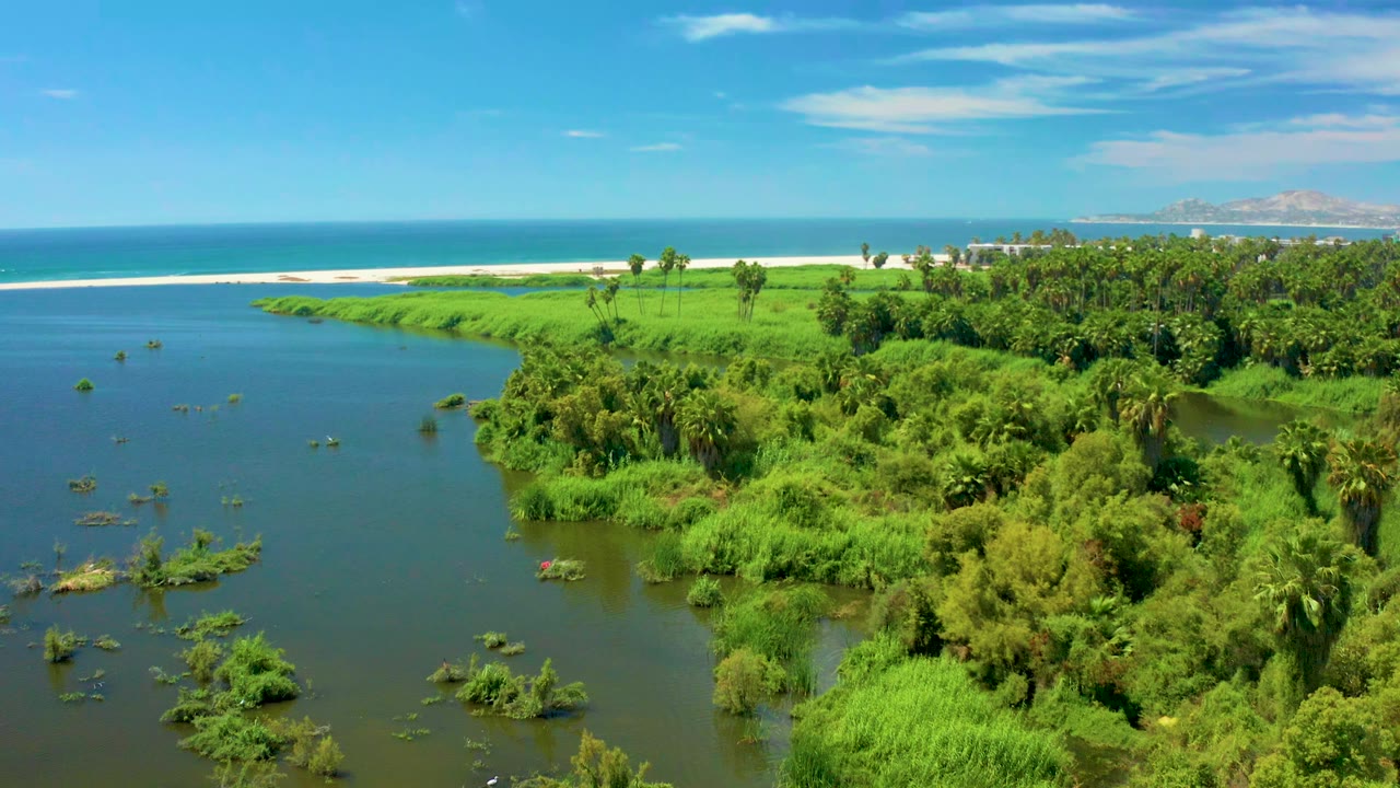 Aerial view in San Jose Del Cabo showing a calm river beside dense green wetland vegetation, a pale beach, blue ocean, distant hills, scattered clouds, and no visible people.