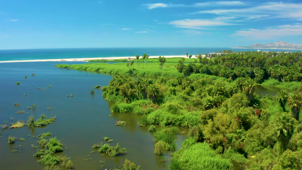 River mouth bordered by green vegetation with beach and ocean behind.