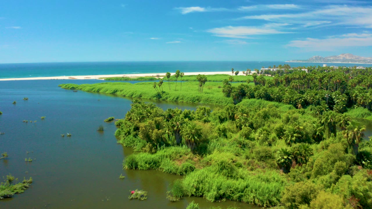 Aerial frame from San Jose Del Cabo showing dark river water curving beside dense green vegetation toward a white beach and blue ocean, with no visible people.