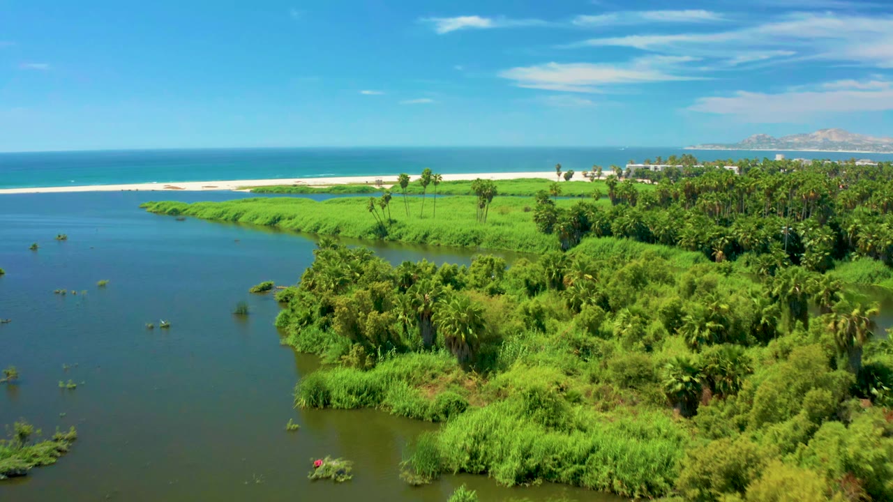 San Jose Del Cabo aerial view with the river occupying the left side, thick palms and reeds on the right, and the ocean horizon behind the sandbar, with no visible people.