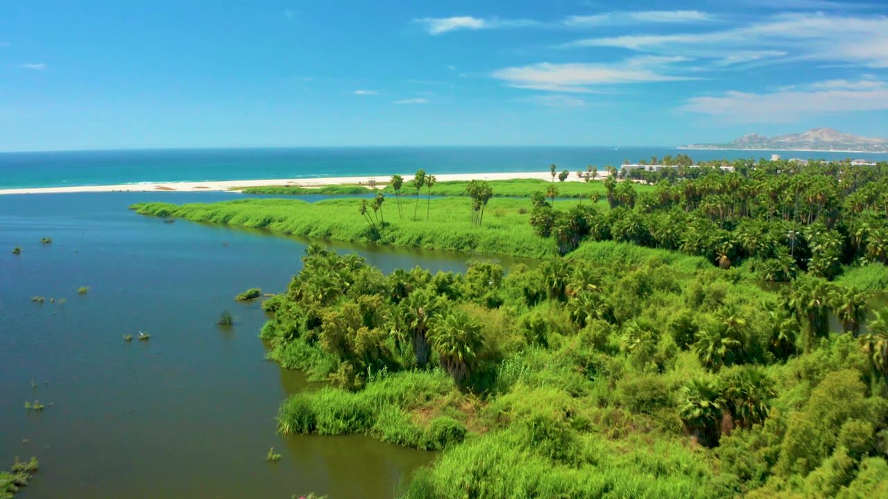 Elevated San Jose Del Cabo frame showing the estuary widening at left, bright green shoreline plants in the center, and blue ocean beyond the white sand, with no visible people.