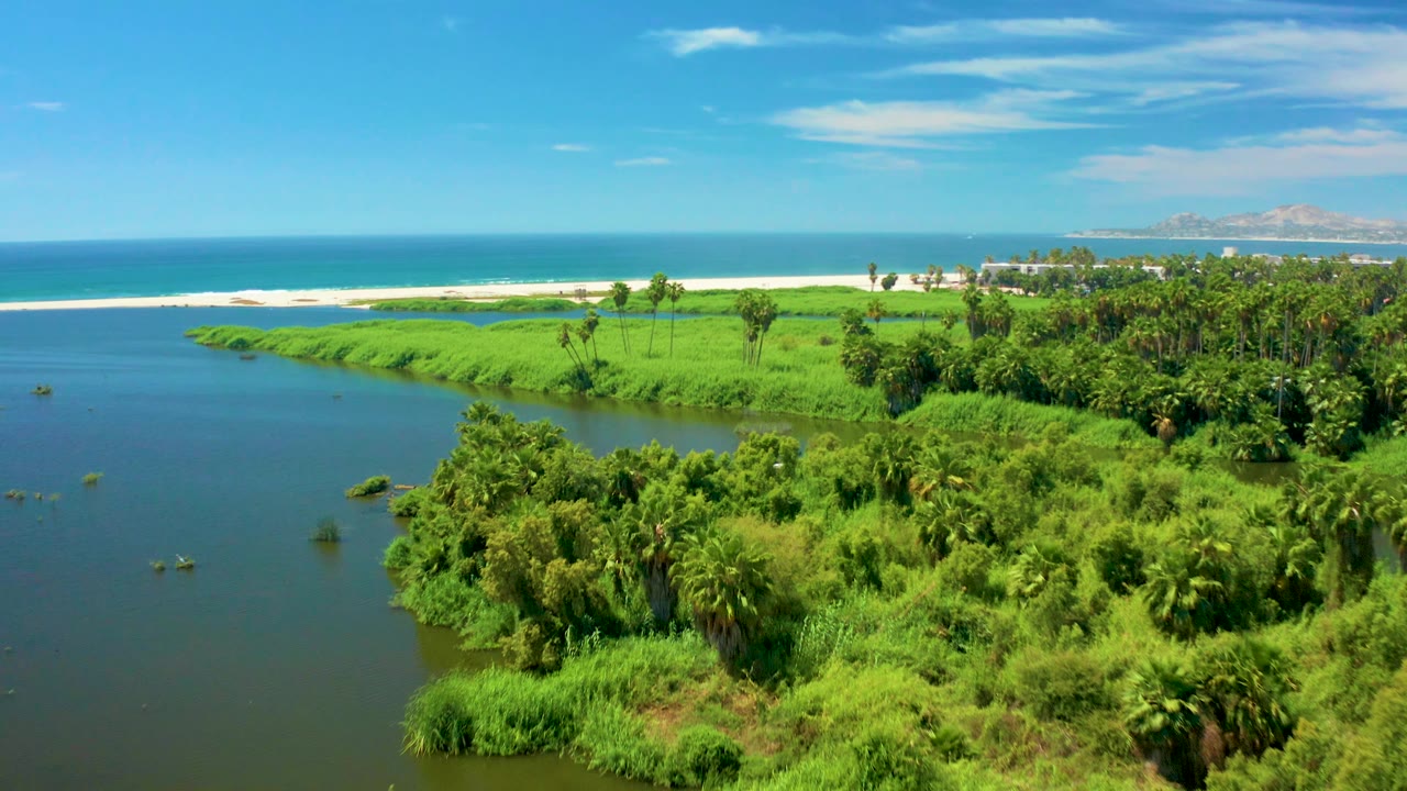 River bend bordered by lush vegetation near the beach.