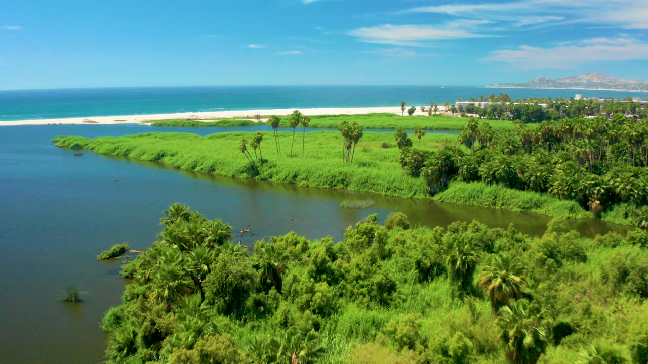 Aerial frame over San Jose del Cabo showing a calm river in the foreground, dense green vegetation and palms, a sandy beach, blue ocean, distant low hills, and no visible people.
