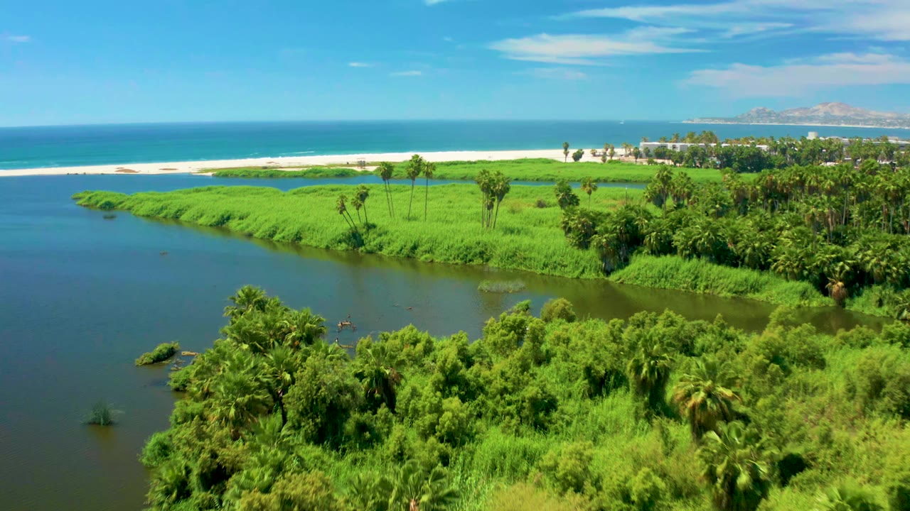 Elevated view of a calm waterway curving past bright green grass toward the ocean.