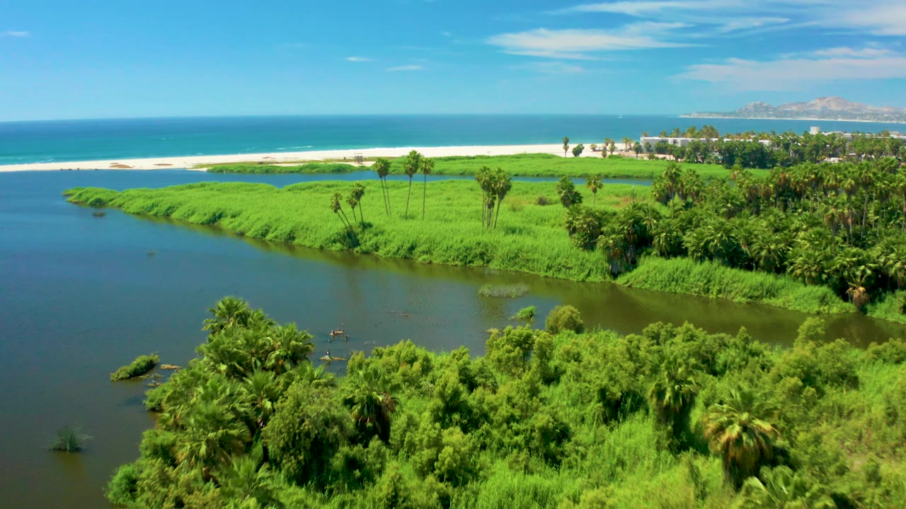 San Jose del Cabo aerial frame showing the river widened across the lower left, palms and shrubs along the near bank, a pale sand strip, blue ocean, distant hills, and no visible people.