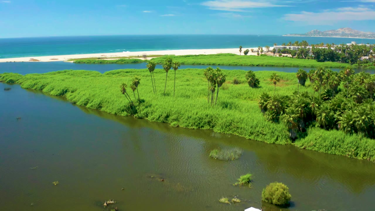 Elevated San Jose Del Cabo frame with the river occupying the lower left, thick green shoreline growth, scattered palms, a white sand beach, blue ocean, and no visible people.