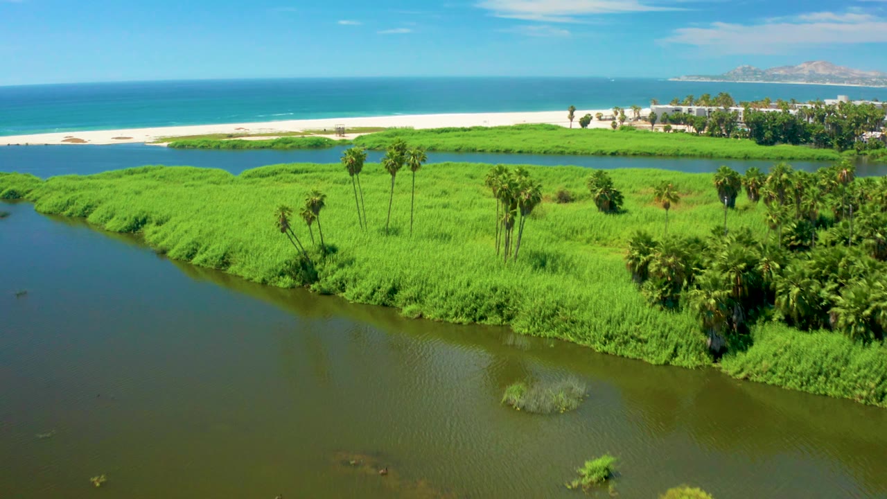 Aerial San Jose Del Cabo view with river water across the foreground, a wide green vegetated bank, small palm clusters, white beach, blue sea, distant land, and no visible people.