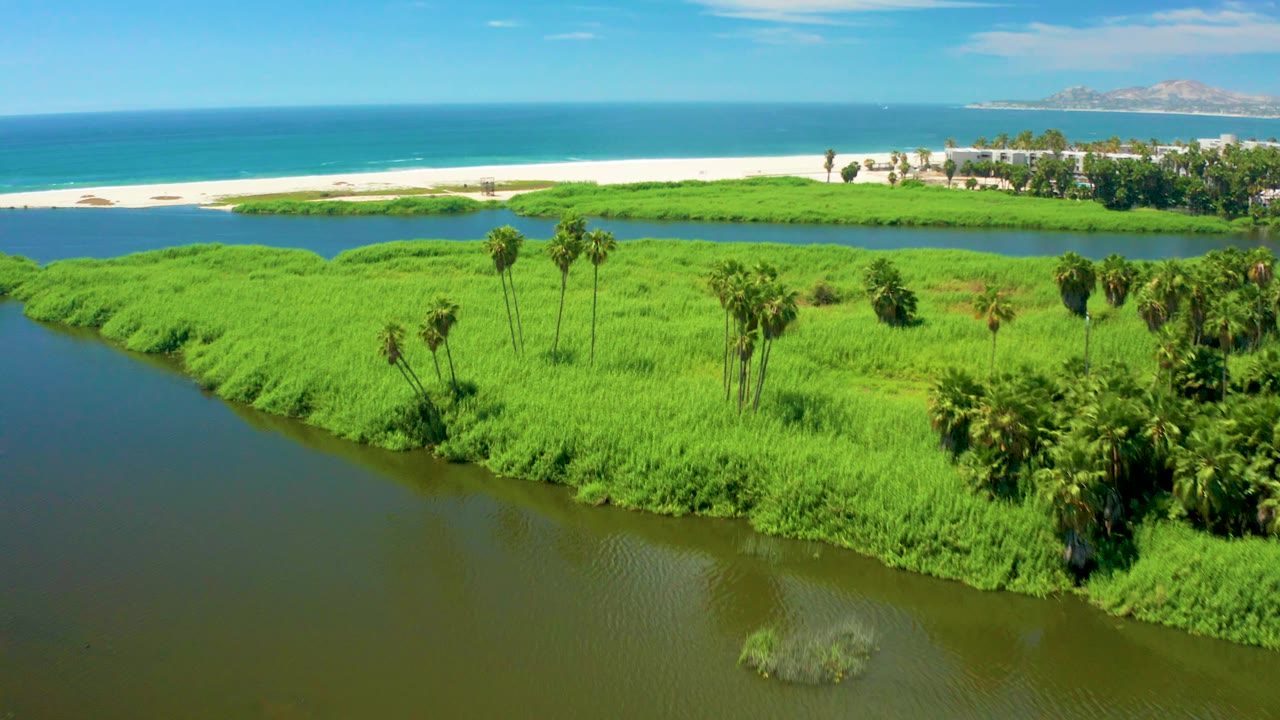 San Jose Del Cabo aerial frame with dark river water along the lower edge, vivid green vegetation filling the center, tall palms, a pale beach strip, turquoise ocean, and no visible people.
