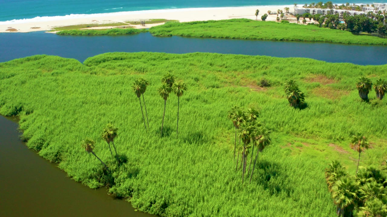 Aerial view in San Jose del Cabo showing bright marsh grass with scattered palms, a dark waterway, a pale beach, and turquoise ocean beyond, with no visible people.