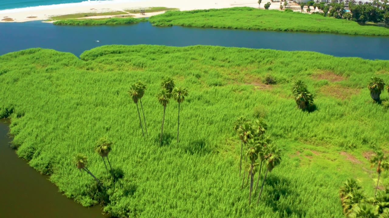 San Jose del Cabo aerial wetland view with the marsh occupying the foreground, small palm clusters, a dark blue channel, a sandy beach strip, and no visible people.