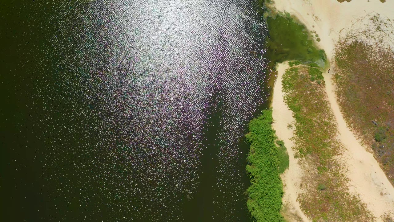 Aerial view of dark water beside pale sand and green mangroves.
