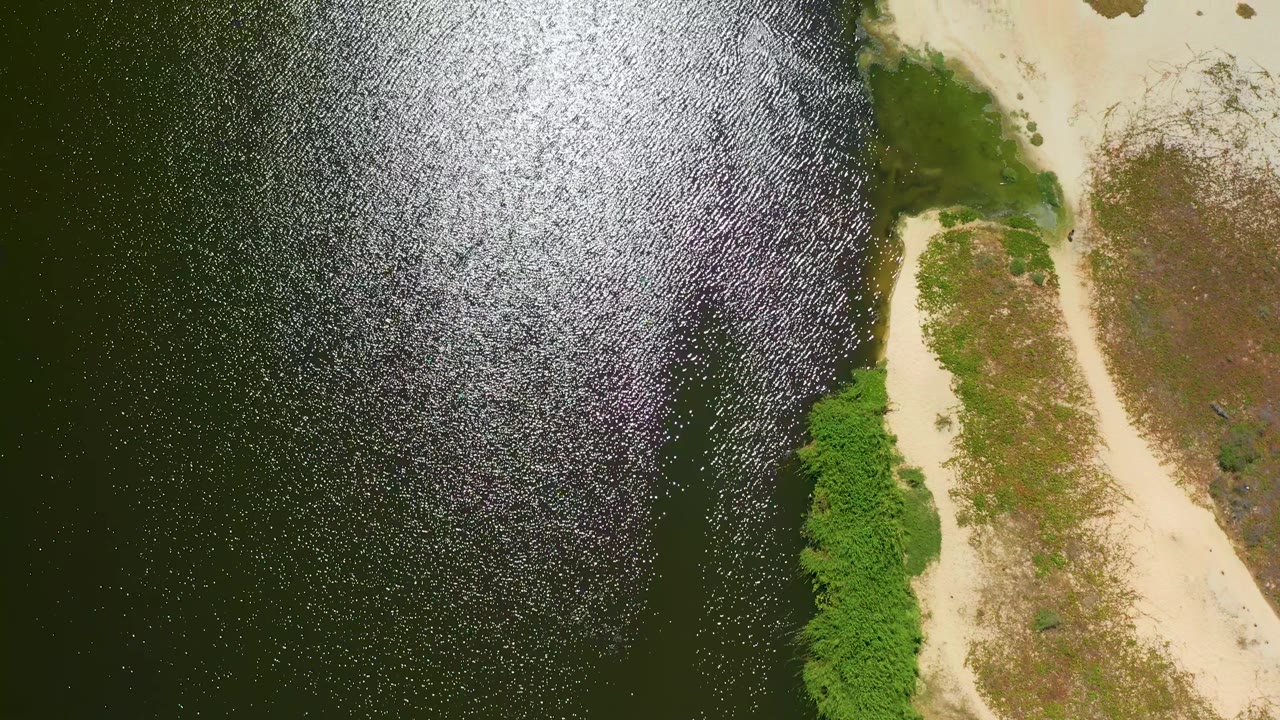 At 0:02, bright sun reflection spreads across the dark water next to pale sand, small wet patches, mangrove growth, and no visible people in San Jose Del Cabo.