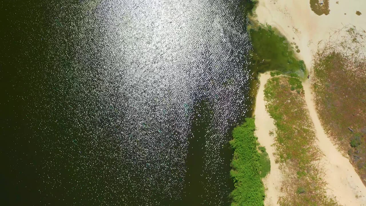 At 0:03, the aerial view shows shimmering dark water along a narrow pale sand margin, green shoreline vegetation, and no visible people in San Jose Del Cabo.