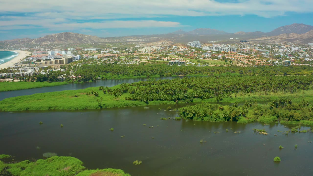 San Jose Del Cabo aerial view with open river water in the lower frame, clusters of bright green wetland plants, a coastal urban strip, beach at the far left, hazy mountains, and no visible people.