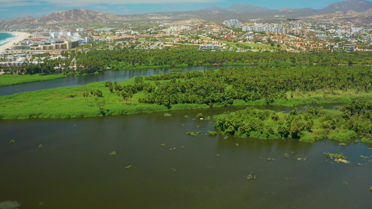 San Jose del Cabo aerial view with calm green water across the lower frame, dense river vegetation in the middle, a pale beach edge at left, city buildings behind it, distant mountains, and no visible people.