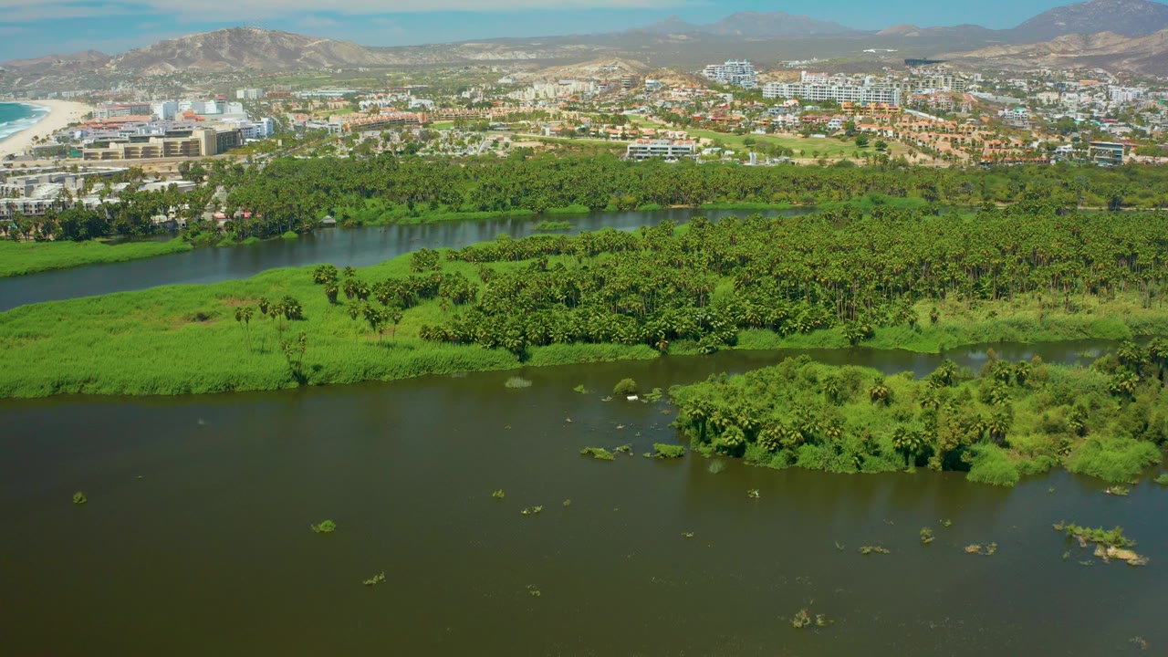 Aerial river scene with water in front, dense green banks, city blocks, and mountains.