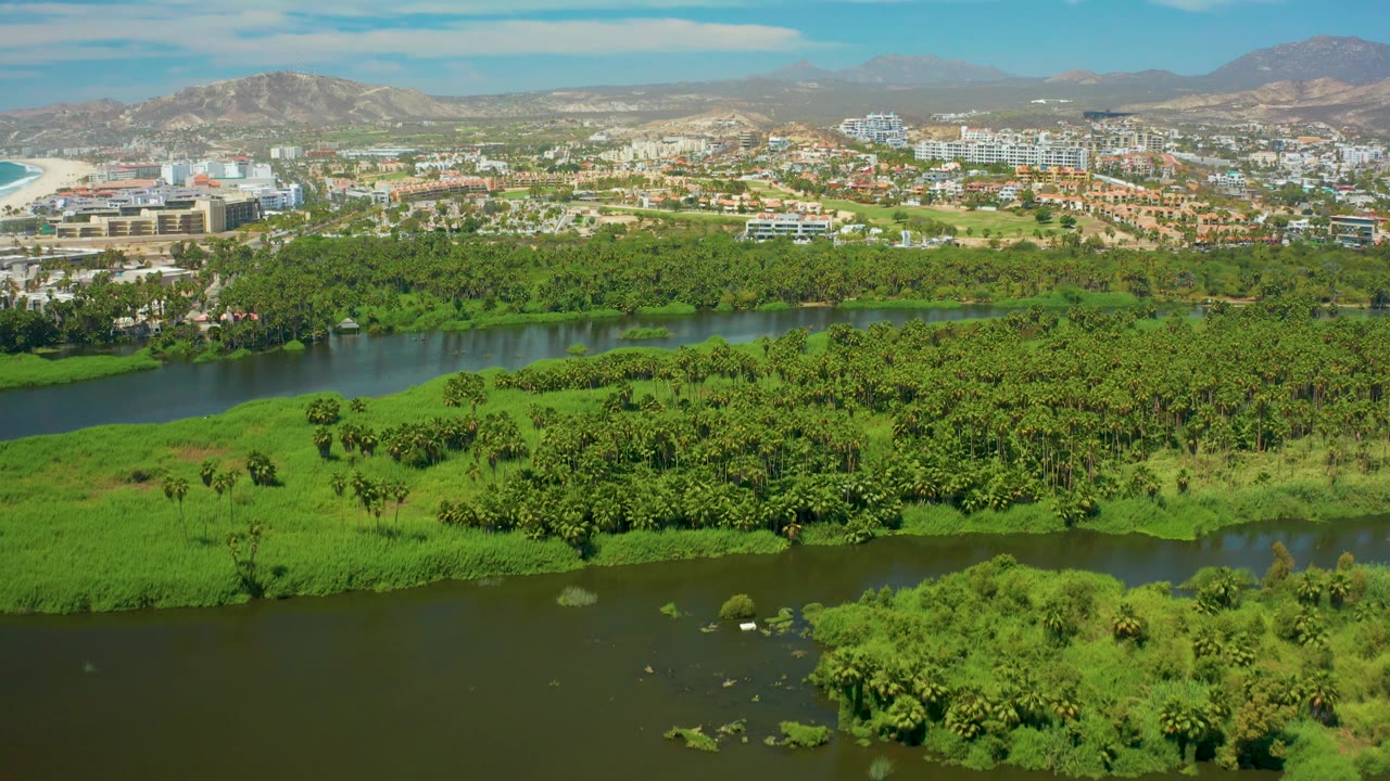 Aerial frame over San Jose del Cabo showing river islands and marsh grass in the foreground, a dense tree belt across the middle, low city buildings behind it, distant mountains, and no visible people.