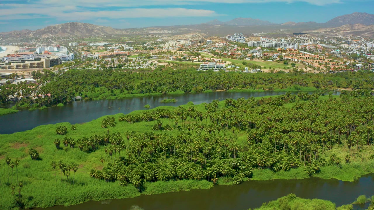 Wide aerial view of green riverbank, city buildings, and distant mountains
