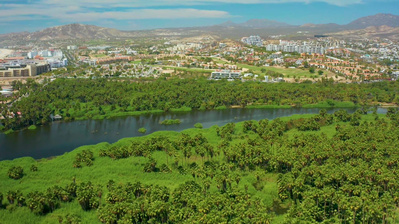 River and palm-filled greenery in front of a low-rise city and mountains.