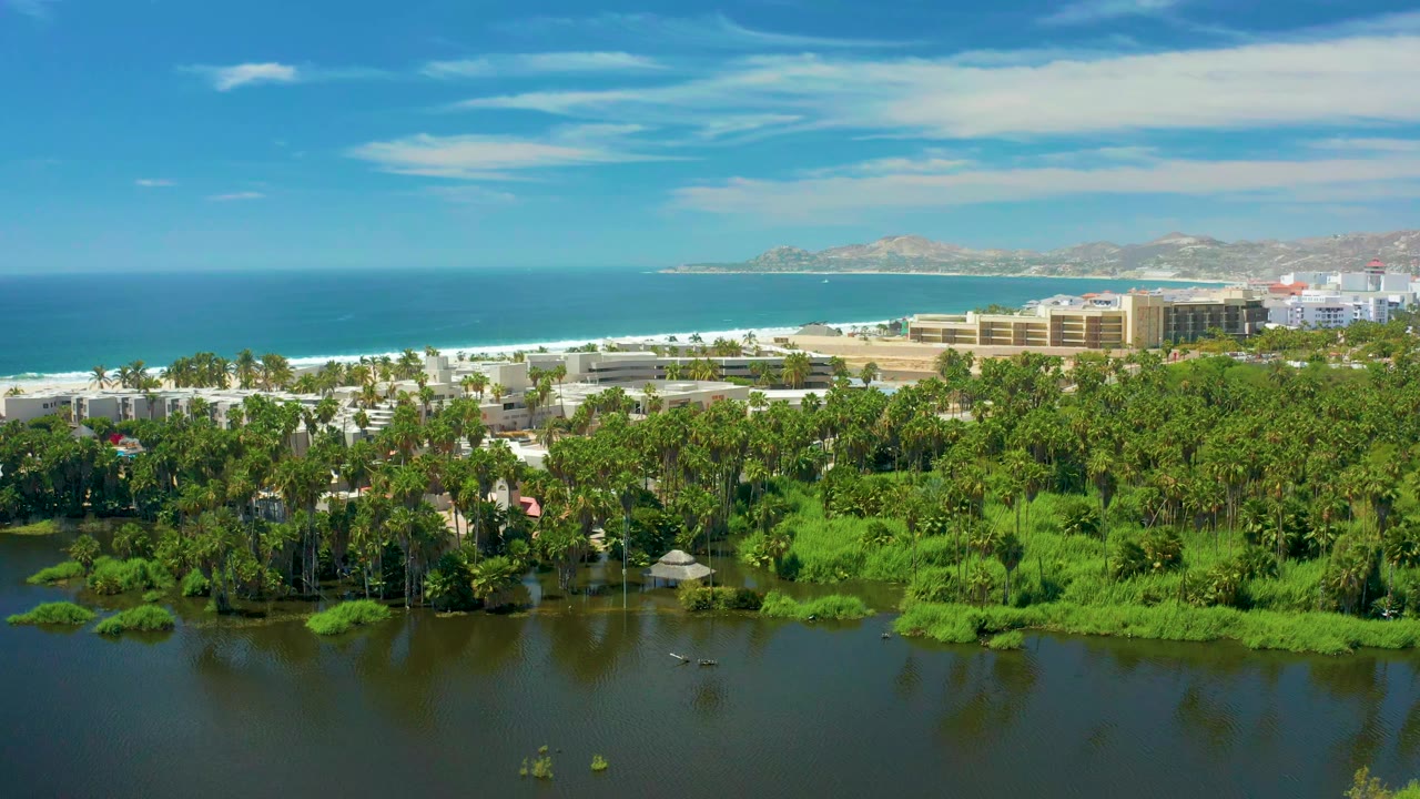 Aerial view in San Jose Del Cabo showing dense palms and lagoon water below, a bright sandy shoreline and ocean surf across the middle, low buildings near the beach, hazy hills in the distance, and no visible people.