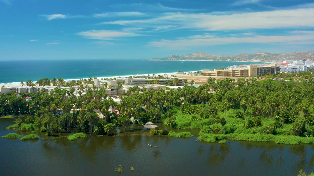 San Jose Del Cabo aerial frame with a calm lagoon and green palm canopy at the bottom, white sand and turquoise-blue water across the center, buildings on the right, a long coastline, and no visible people.