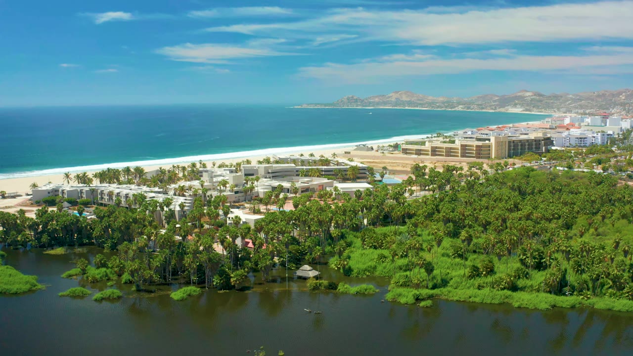 San Jose Del Cabo aerial frame with green lagoon vegetation across the lower edge, palm trees and low buildings near the beach, blue ocean behind them, and no visible people.