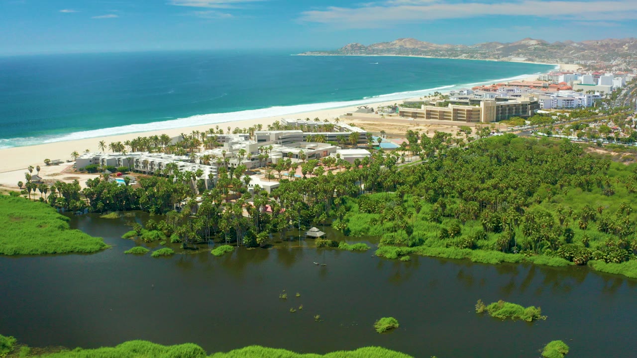 Aerial view in San Jose Del Cabo showing dark lagoon water below dense green vegetation, a pale beach, blue ocean, and distant shoreline buildings, with no visible people.