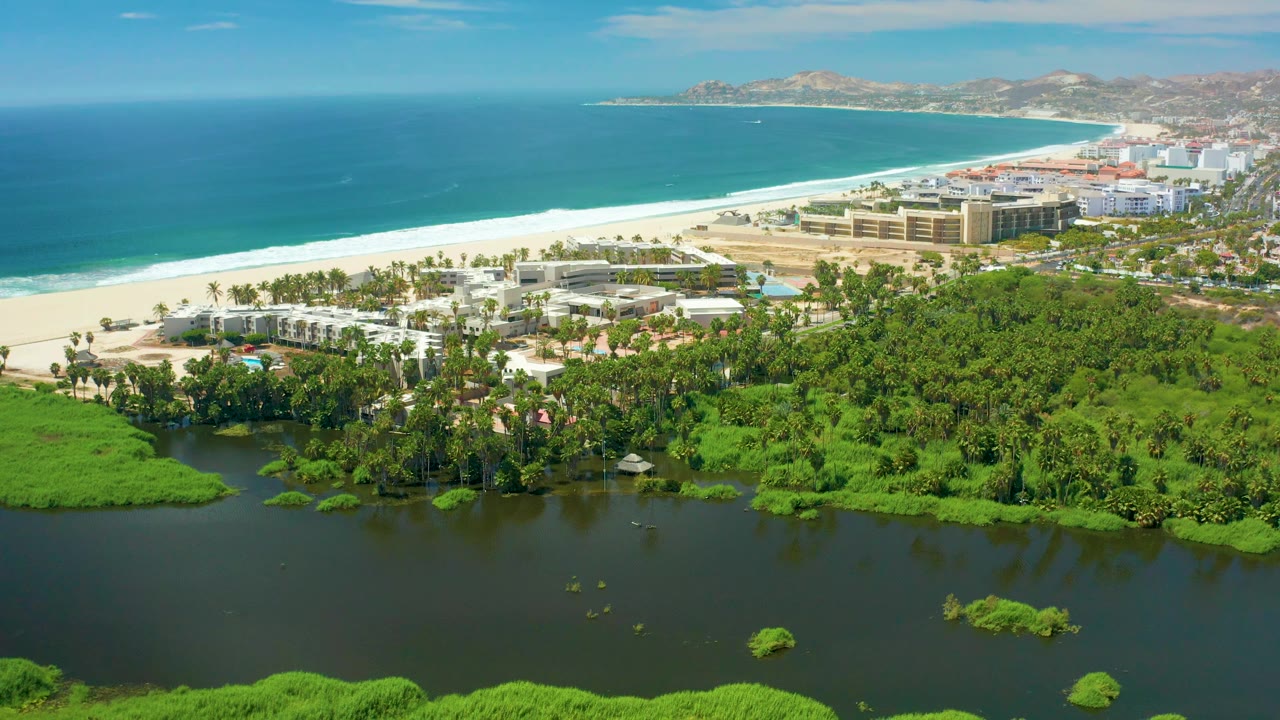 Aerial coastal view in San Jose Del Cabo with floating greenery on the lagoon, dense trees and palms, resort-scale shoreline buildings, sand, ocean, and distant hills, with no visible people.
