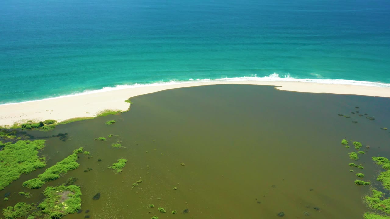 Aerial San Jose Del Cabo frame with dense green vegetation along the lower left lagoon edge, white sand curving across the middle, blue ocean at top, and no visible people.