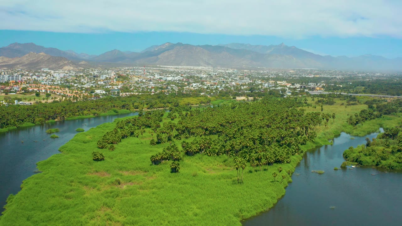 Wide aerial river view with dense green island and distant city.