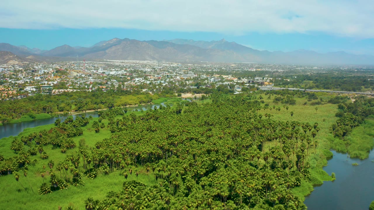 San Jose Del Cabo appears beyond a broad green river corridor, with palm forest in the foreground, open fields near the water, mountains on the horizon, and no visible people.