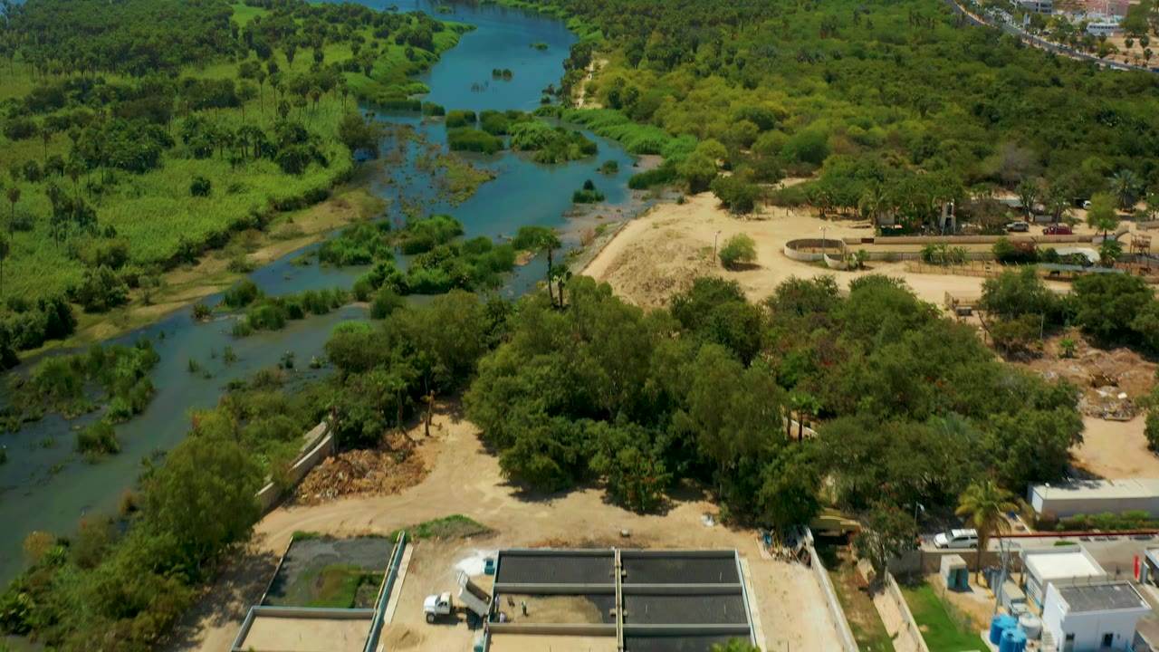 Aerial frame in San Jose del Cabo with the meandering river centered between thick green vegetation, pale sandy banks, foreground trees, and no visible people.