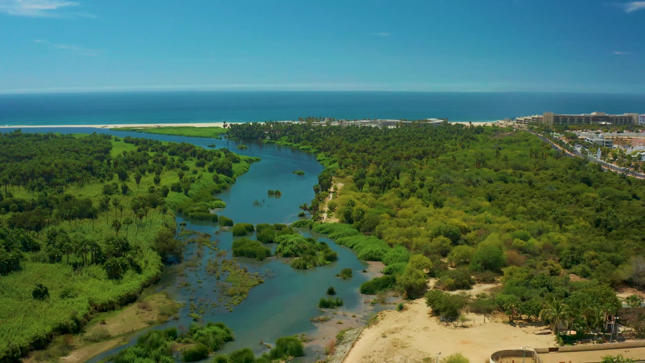 San Jose Del Cabo coastal wetland frame with branching river water, dense trees and reeds, sandy exposed banks, distant beachfront buildings, and no visible people.