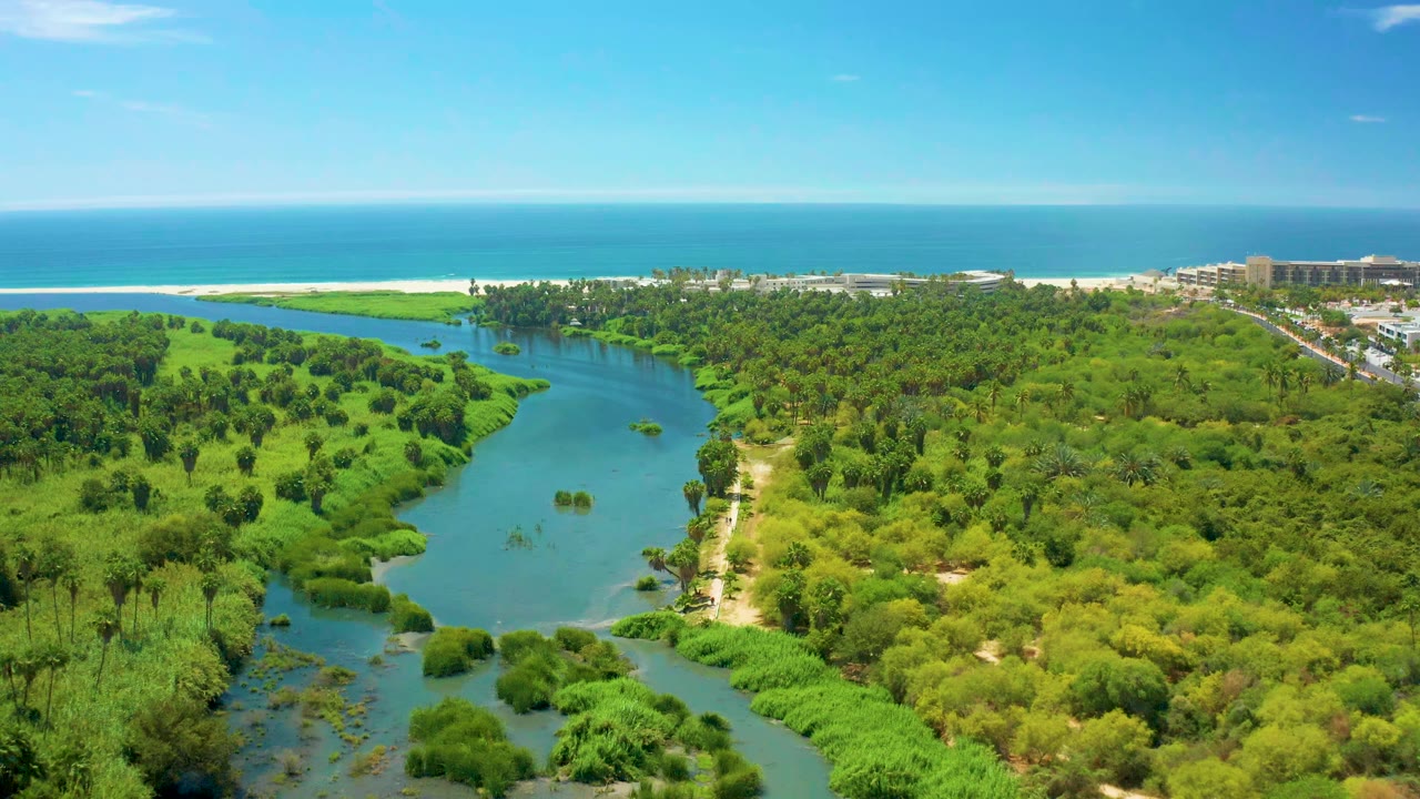 Aerial view of a green tidal river leading toward the ocean