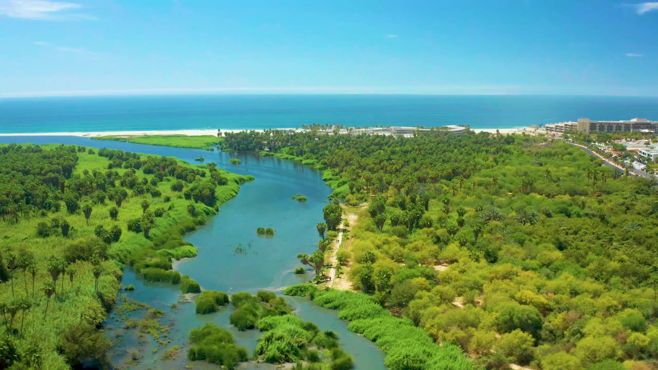 Wide aerial frame over San Jose Del Cabo showing the tidal river bordered by bright green vegetation, with the sandy shoreline and ocean beyond, no visible people.