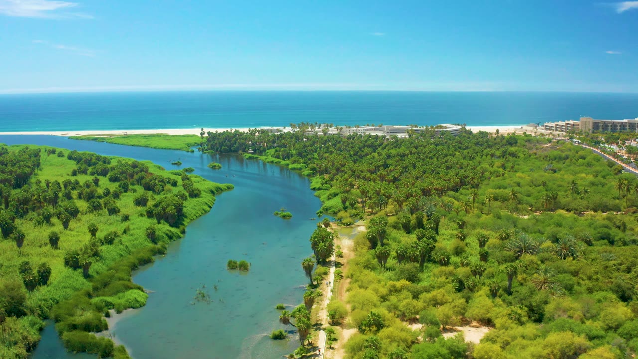 Drone view in San Jose del Cabo showing branching river water, thick green vegetation, distant beach, ocean horizon, and no visible people.