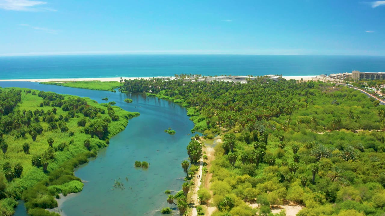 Aerial coastline view with river, trees, beach, and clear sky