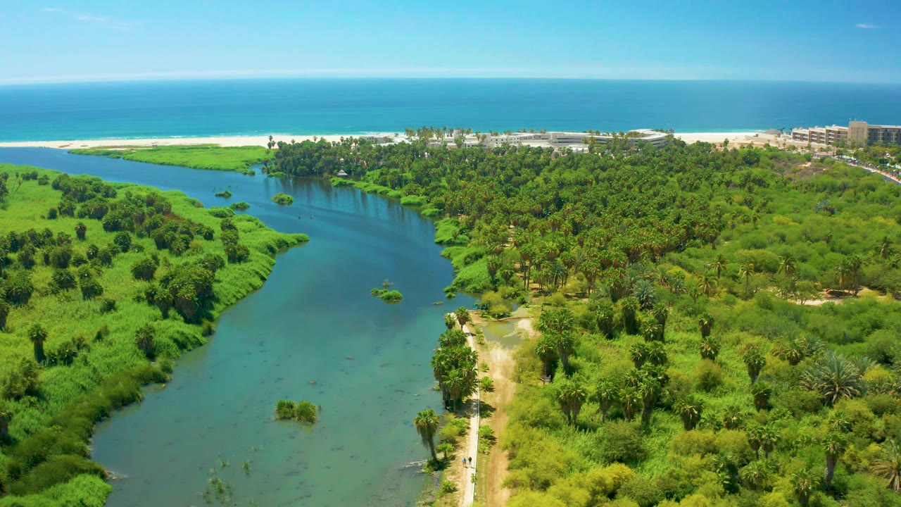 San Jose del Cabo aerial view showing bright green vegetation around the river, a small exposed patch in the water, beach sand, ocean, sky, and no visible people.