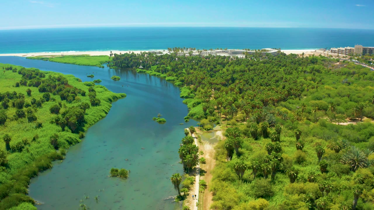 Wide aerial of river, green shoreline, beach, ocean, and distant buildings.