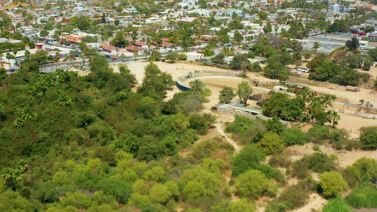 Aerial view in San Jose del Cabo with dense park foliage in front, pale sandy ground and paths through the middle, and residential rooftops beyond with no visible people.
