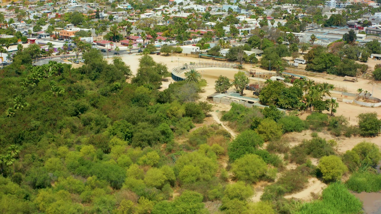 Park canopy and sandy paths below a residential district from a drone angle.