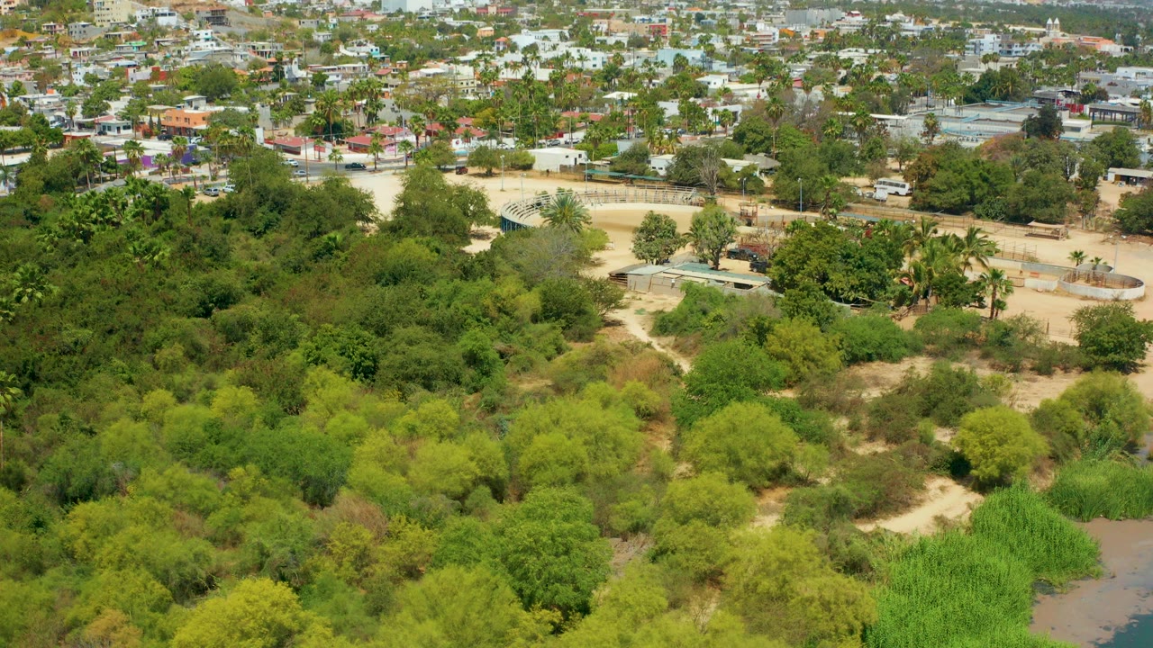 Opening frame of San Jose del Cabo with dense green foreground vegetation, low homes beyond it, pale sky, and no visible people.