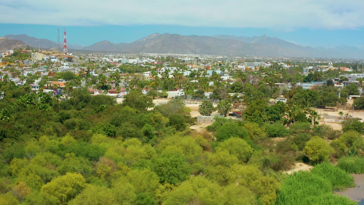 Opening aerial frame over San Jose del Cabo with dense green trees in the foreground, low buildings in the midground, distant mountains, blue sky, and no visible people.
