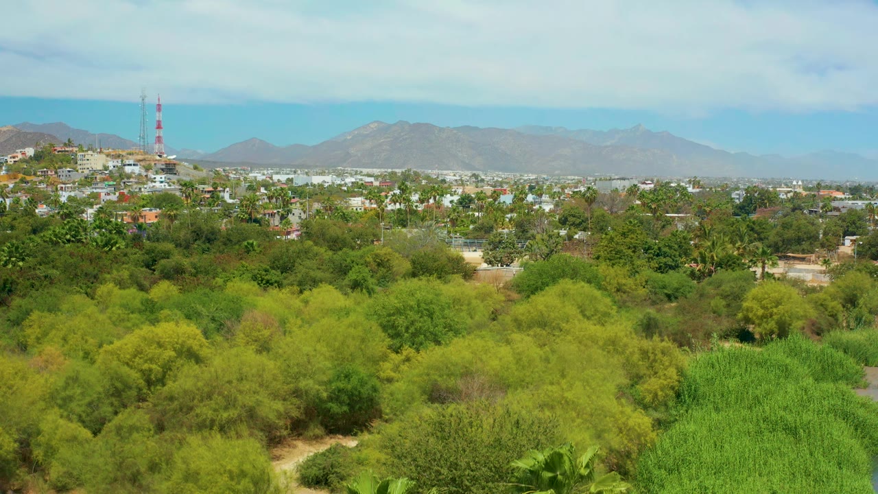 San Jose del Cabo view with dense green vegetation across the lower frame, scattered city buildings and tower structures in the distance, mountains on the horizon, and no visible people.
